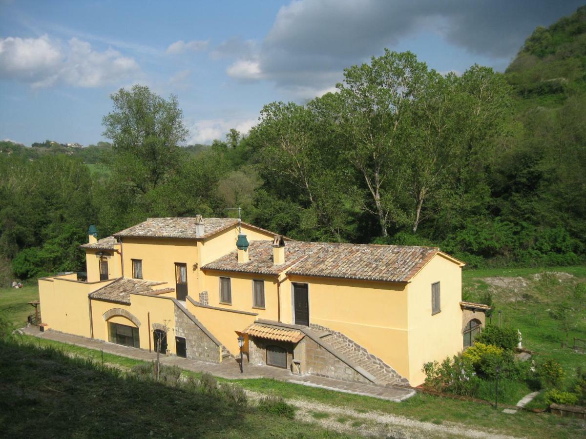 Ferienwohnung Alloggio Turistico Mooneyes Castiglione In Teverina Exterior foto